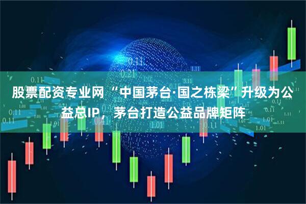 股票配资专业网 “中国茅台·国之栋梁”升级为公益总IP，茅台打造公益品牌矩阵